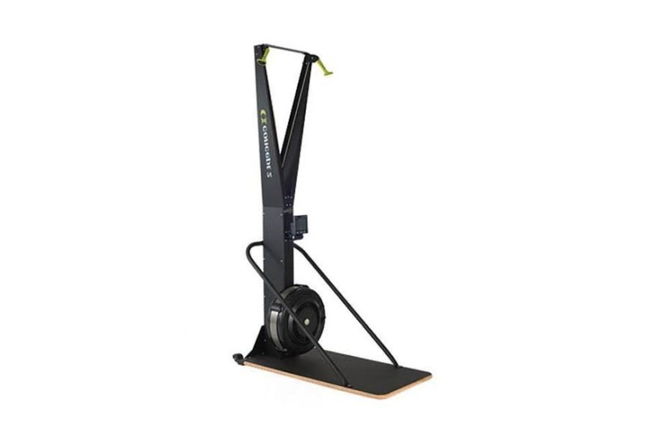 Concept2 Row ski Erg