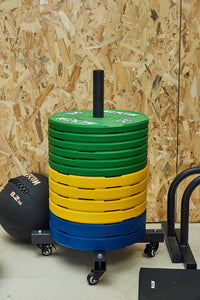 METCON Colored Training Plates (KG)