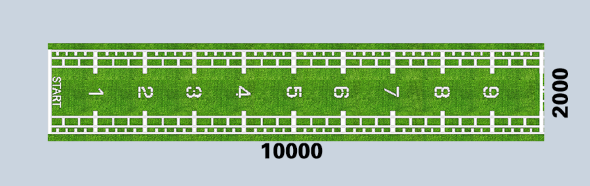 METCON Customized Artificial Turf