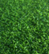 METCON Customized Artificial Turf